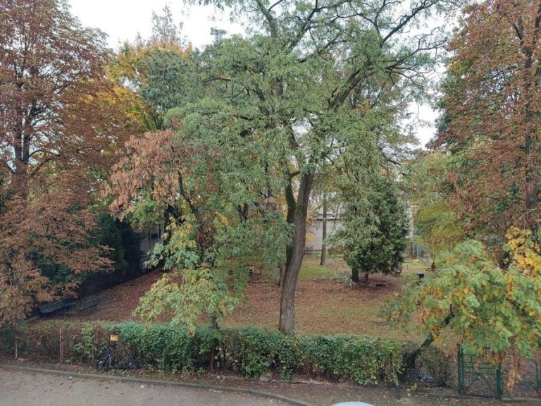 mieszkanie-00003
