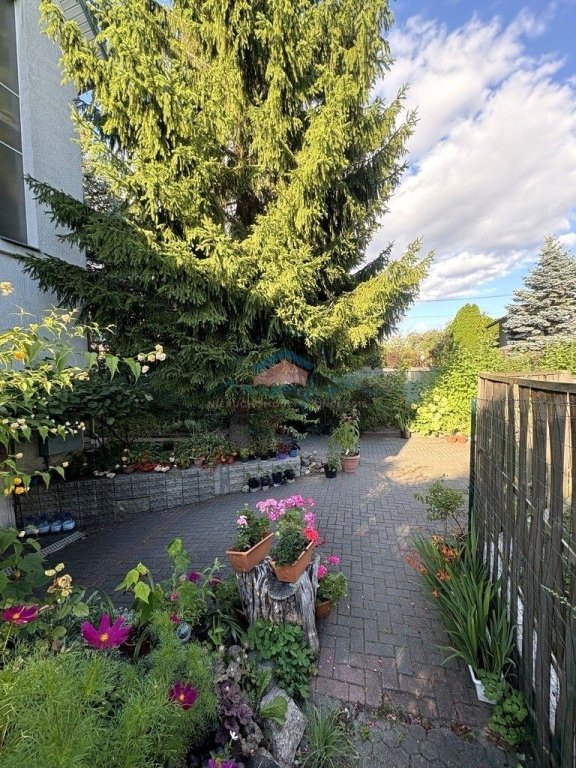 dom-ogrodniczki-296m2-wysoki-stoczek (19)