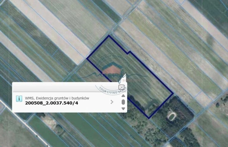 dzialka-rolna-tyniewicze-duze